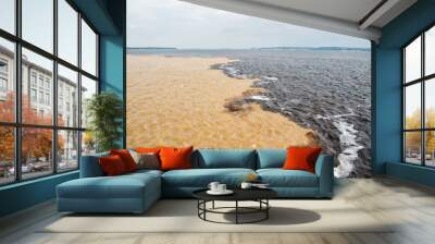 water meeting in brazil -amazon river with rio del negro Wall mural