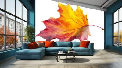 maple leaf isolated on white Wall mural