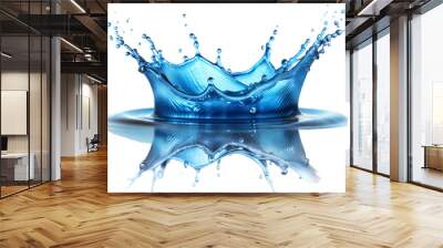 water splash isolated on white Wall mural