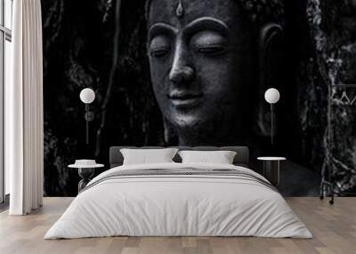 Buddha idol in old tree for garden decoration Wall mural