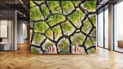 Human feet on green grass plant and cracked earth Wall mural