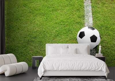 soccer ball on white line Wall mural