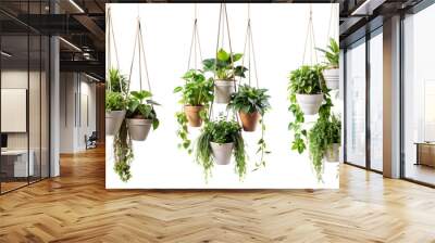 Set of potted indoor flowers suspended on ropes on a transparent background. Concept of decoration, design and plants. Wall mural