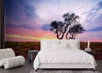 A Hakea tree stands alone in the Australian outback during sunset. Pilbara region, Western Australia, Australia. Wall mural