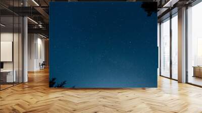 starry night sky Wall mural