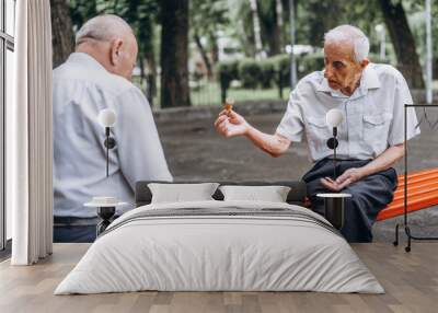 Two senior adult men playing chess on the bench outdoors in the park. Wall mural