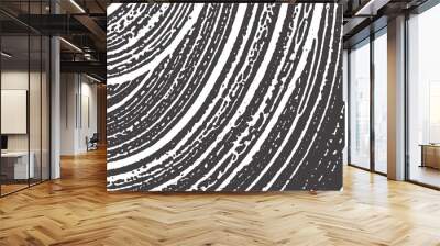 Grunge texture. Distress black grey rough trace. B Wall mural