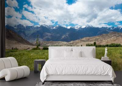 Ladakh, India - Aug 20 2019 - Wheat field at Likir Village in Ladakh, Jammu and Kashmir, India. Wall mural