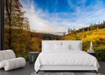 Autumnal landscape of colorful trees in Hoegne Valley, Belgian Ardennes Wall mural