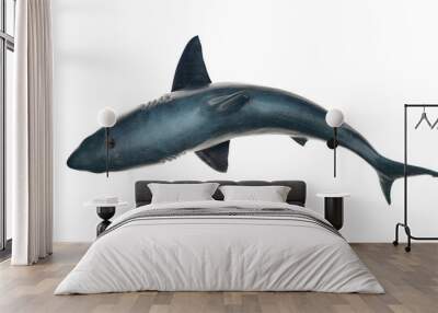 Great white shark isolated on white background cutout ready view from top  3d rendering Wall mural