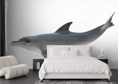 Isolated bottlenose dolphin tail up side profile view on white background cutout ready 3d rendering Wall mural