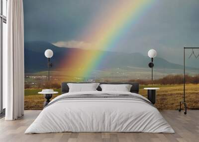 Bright rainbow over springtime countryside Wall mural