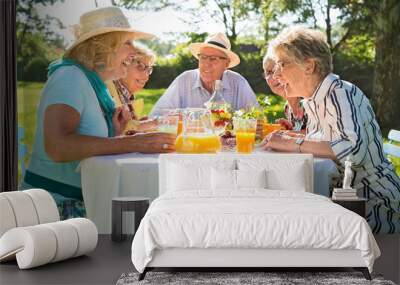 Elderly friends having picnic in park on a sunny day. Wall mural