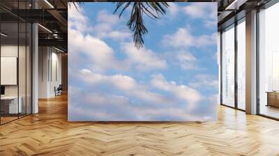 Coconut tree whit blue sky. Have space for text. Bali island. Wall mural