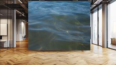 clear blue water at the beach on a summer day, blue ocean and transparent water Wall mural