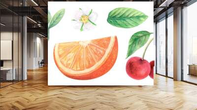 Fruit leaves berry set watercolor drawing illustration. Cherry orange strawberry. Green branch fruit aquarelle twig flower isolated on white background Wall mural