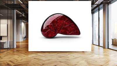 elegant red crystal liver model isolated on white background for medical and health concepts Wall mural