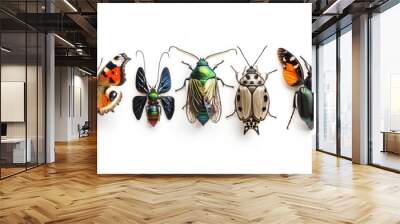 variety of butterflies and beetles displayed on white background Wall mural