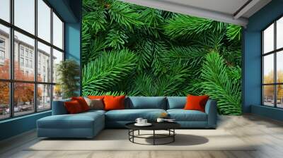 Background of pine tree branches. Nature concept. Wall mural