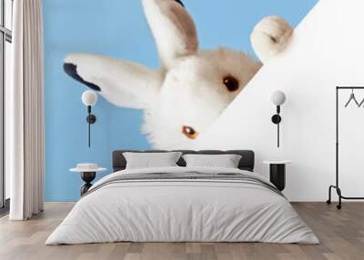 rabbit with sheet for a text writing. Easter concept. Wall mural