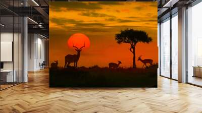 African sunset with silhouette Wall mural