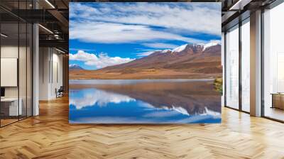 The traveler takes pictures of Pink flamingo in the lake. Lake Hedionda in Bolivia. Panoramic view. Wall mural