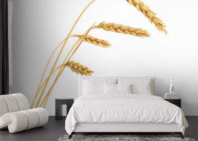 Stalks of wheat ears isolated on white background Wall mural