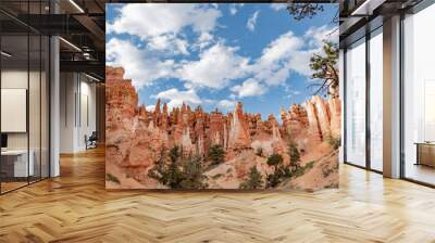 Views of sandstone spire shaped rock formations known as hoodoos at Bryce Canyon National Park, Utah, USA.  Wall mural