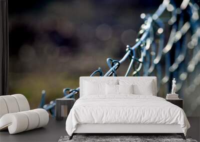 iron mesh wire fence, shallow dof Wall mural