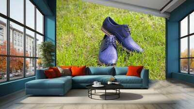 Men's fashion shoes blue, casual design on grass Wall mural