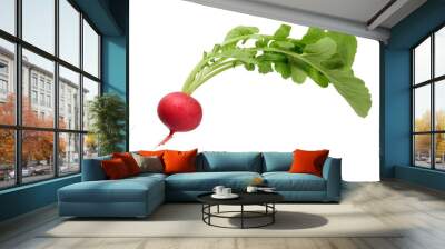 fresh radish with tops isolate on white Wall mural