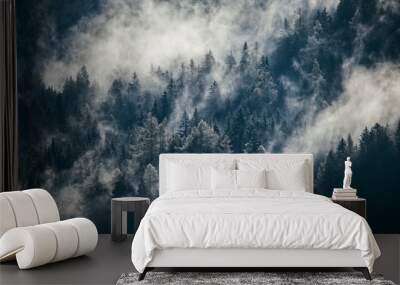 Dense morning fog in alpine landscape with fir trees and mountains.  Wall mural