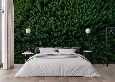 Forest from above Wall mural