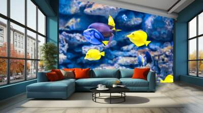 Tropical fishes on the coral reef Wall mural