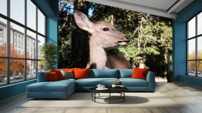 Portrait of a doe in the wild Wall mural