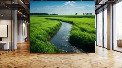 Green Field with a Small Stream Flowing Through, Set Against a Summer Blue Sky, Emphasizing the Beauty of Freshwater and the Serenity of Nature Wall mural