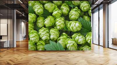 Clusters of vibrant green hop cones among lush green leaves. Wall mural