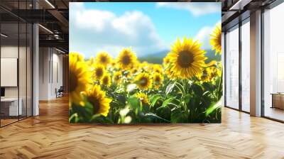 Vibrant field of sunflowers basking in the sunlight under a clear blue sky. Wall mural