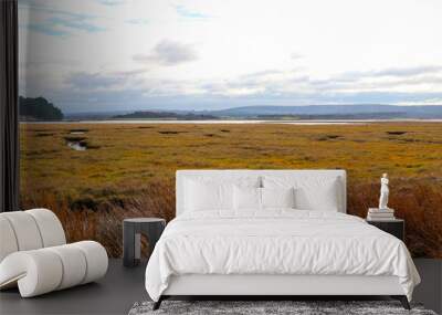 Marshland Wall mural