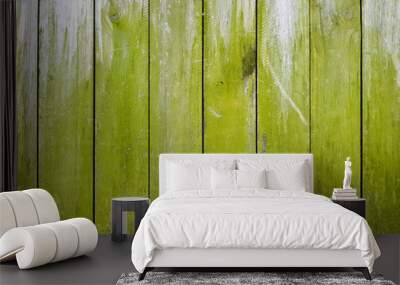 Wooden fence covered in green moss Wall mural