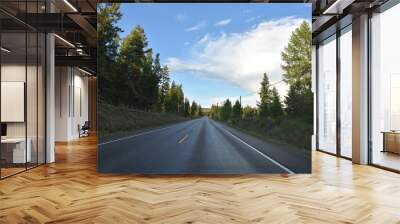 road in the forest Wall mural