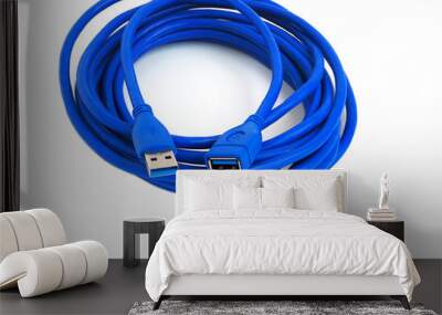 Blue USB cable isolated on white background. Close up. Wall mural