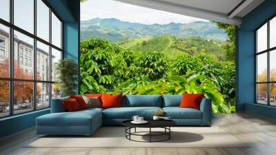 beautiful coffee plantation in jerico, colombia in the state of antioquia. Wall mural