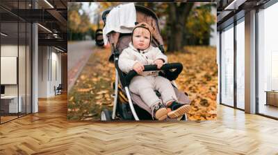 A beautiful little baby in a stroller outside in the fall Wall mural