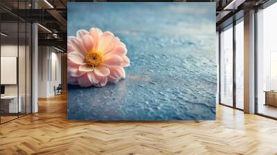 Forced perspective pink flower yellow center on grey surface Wall mural