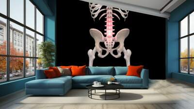 Skeleton pelvic back pain on black background Wall mural