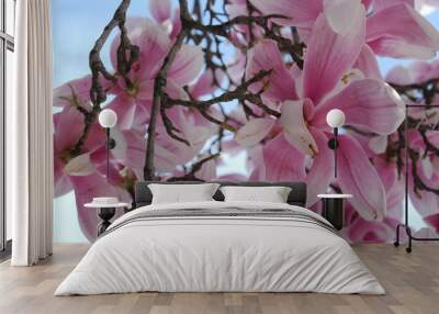 pink white flowers Wall mural