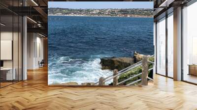 La Jolla beach from the cliffs Wall mural