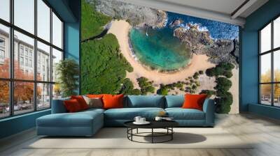 Puerto Rico Beach Wall mural