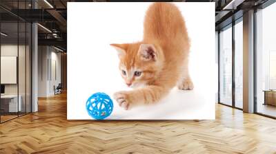 cute orange kitten playing on a white background. Wall mural